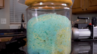 Watch the mesmerizing spectacle of whipped cream in a vacuum<em></em>